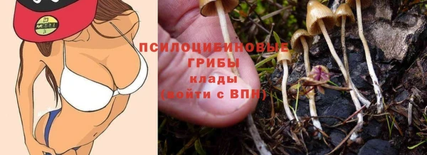 каннабис Алзамай